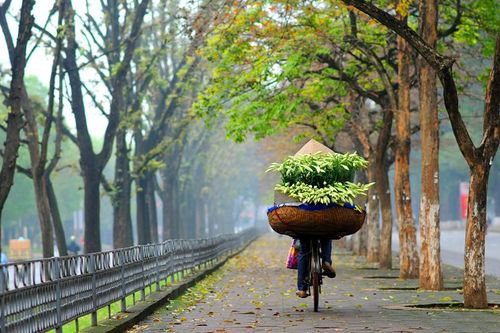 10 địa điểm du lịch 'HOT' Việt Nam hút khách quốc tế