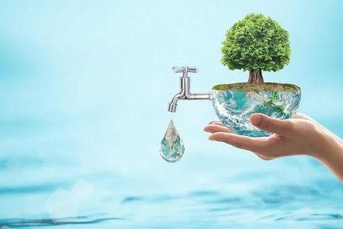 Dạy con ý thức bảo vệ môi trường qua các hoạt động hằng ngày