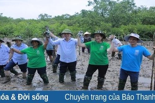 Hiệu quả từ dự án do Chương trình Phát triển Liên Hợp Quốc tại Việt Nam tài trợ tại Thanh Hóa