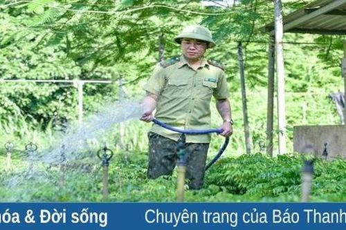 Nỗ lực phục hồi những giống cây quý