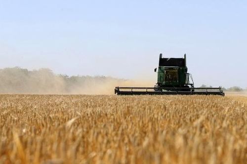 26.000 tấn ngũ cốc đầu tiên của Ukraine đang trên đường đến Lebanon