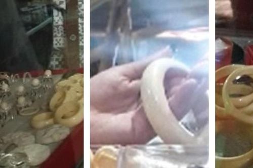 Nạn buôn bán ngà voi và nỗi đau đại ngàn