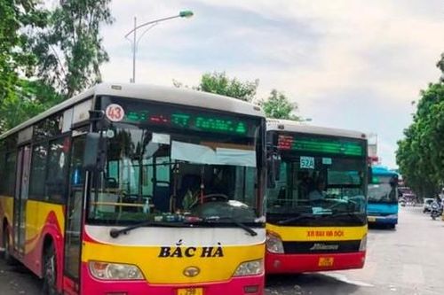Ba đơn vị vận tải được lựa chọn vận hành 5 tuyến buýt của Cty Bắc Hà