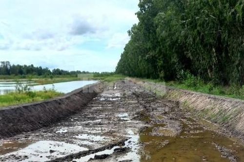 Sân đua bò 'chui' 20.000m2 trên đất nông nghiệp được xử lý như nào?