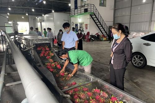Nỗ lực hoàn thành kế hoạch khuyến công quốc gia