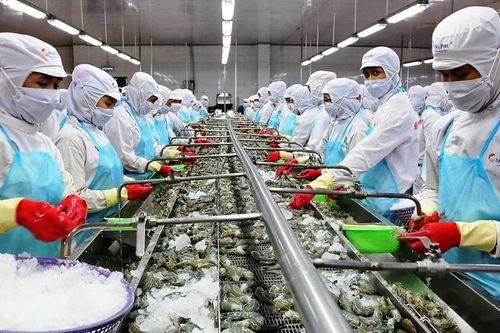 Hiệu quả sau 2 năm thực thi Hiệp định EVFTA