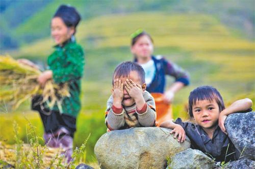 Thành tựu giảm nghèo đa chiều của Việt Nam đạt mức ấn tượng chỉ còn 4,4%