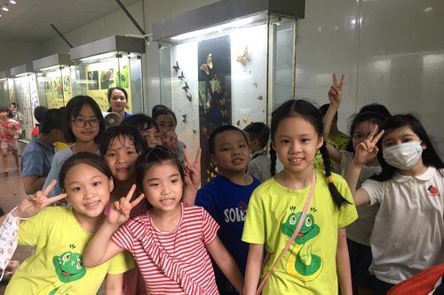 Hà Nội: Học sinh quay lại trường để ôn tập hè