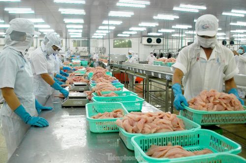 Xuất khẩu thủy sản hạ nhiệt do khan hiếm nguyên liệu