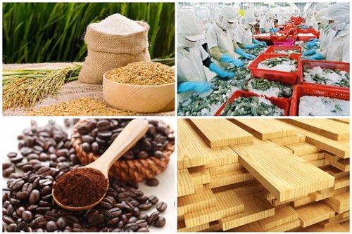 Bất chấp những khó khăn từ thị trường xuất khẩu, ngành nông nghiệp vẫn xuất siêu tới 6,3 tỷ USD