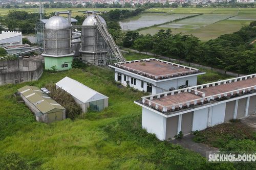 Nhà máy xử lý rác gần 800 tỷ bỏ hoang hơn 10 năm, cỏ mọc um tùm