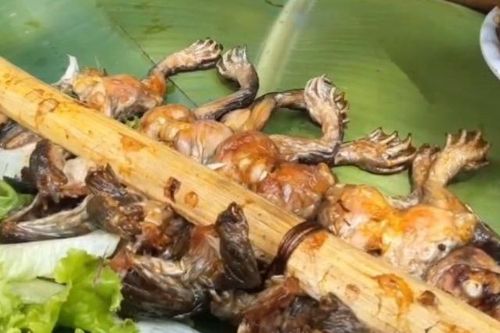 Ăn món thủy sản nhiều người mê, thanh niên Hà Nội bị 'vật thể lạ' chui vào rồi chu du khắp bụng