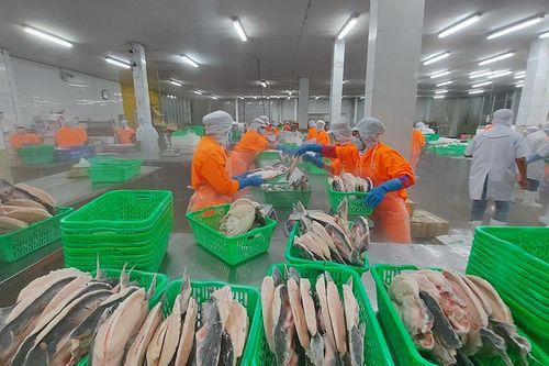 An Giang quản lý nuôi và chế biến thủy sản
