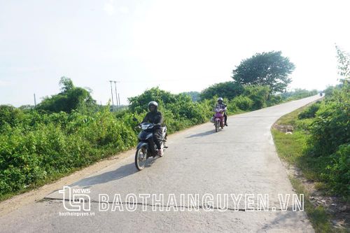 Giữ đê chắc trong mùa mưa bão