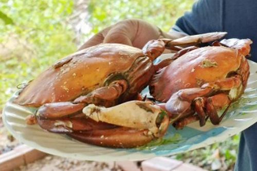 Nữ du khách tố bị 'chặt chém' khi ăn đặc sản ở Đất Mũi nhận sai