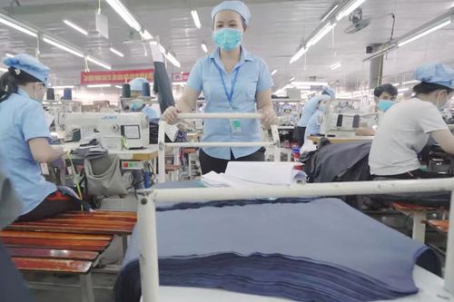 Thế khó gỡ của doanh nghiệp dệt may nội địa