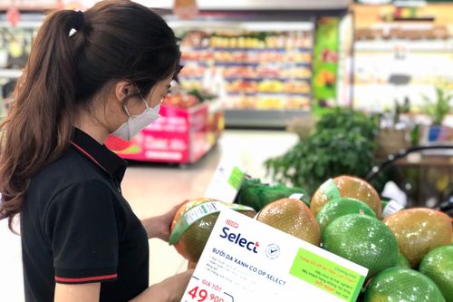 Các điểm bán bưởi Co.op Select 'bao ngon' tại TP.HCM
