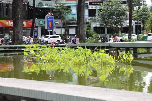 Diện mạo mới nhất của Hồ Con Rùa sau 3 tháng cải tạo