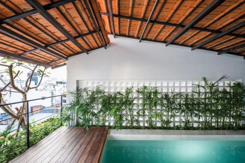 Nhà phố diện tích nhỏ trở thành resort xanh với hồ bơi thật lạ