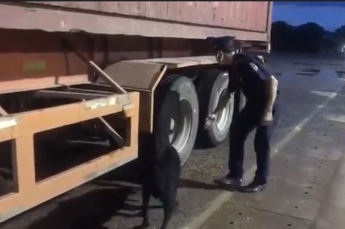 Hải quan thông tin vụ ngụy trang 8 bánh heroin trong thùng hàng quạt gió