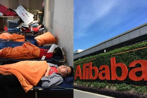 Ngủ trưa công ty: Huawei ngủ nệm, Alibaba ngủ lều, Baidu xây luôn 'thiên đường' cho nhân viên