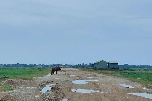 Thanh Hóa: Dự án đường giao thông trăm tỷ chậm tiến độ, tỉnh cần chỉ đạo tháo gỡ 'nút thắt'