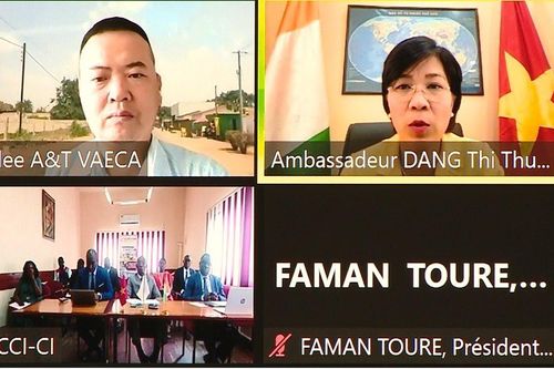 Kết nối trực tuyến kinh doanh Việt Nam - Bờ Biển Ngà