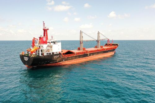 Tàu nước ngoài đầu tiên cập cảng Ukraine kể từ tháng 2