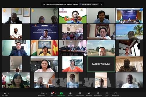 Kết nối kinh doanh Việt Nam - Cote d'Ivoire