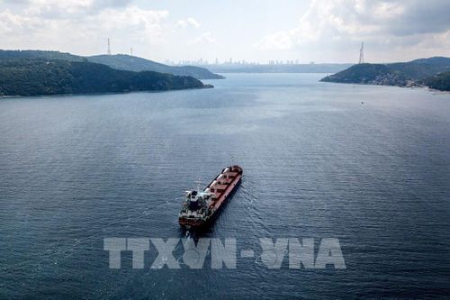 Tàu chở hàng đầu tiên cập cảng của Ukraine trên biển Đen sau nhiều tháng