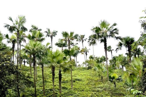 Không bao giờ quên