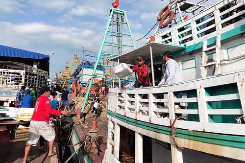 Giá xăng dầu 'hạ nhiệt': Ngư dân tất bật vươn khơi
