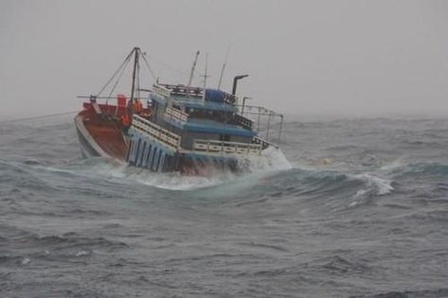 Quảng Bình: Cứu sống 8 thuyền viên trên tàu cá bị chìm ngoài khơi