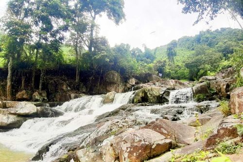 Khám phá miền đất tươi đẹp Phong Dụ