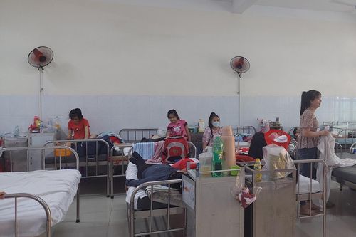 Không phát hiện bị sốt xuất huyết, cô gái tử vong sau 4 ngày mắc bệnh