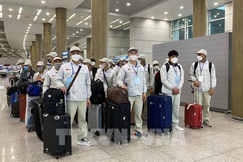 Hàn Quốc tăng hạn ngạch lao động nước ngoài