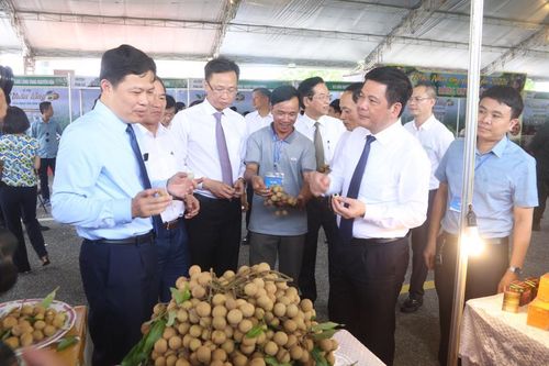 Nâng tầm Nhãn lồng Hưng Yên