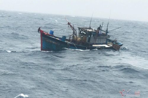 Chạy tàu cá về bờ tránh áp thấp, 5 ngư dân mất liên lạc