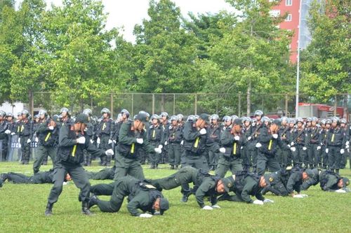 Đề xuất mới về phù hiệu, Giấy chứng nhận công tác đặc biệt của Cảnh sát cơ động