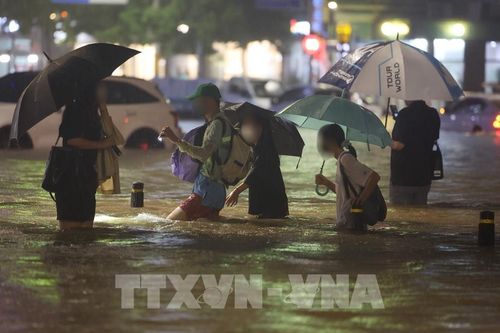 Hoạt động bán lẻ và giao hàng tại Hàn Quốc bị gián đoạn do mưa lớn