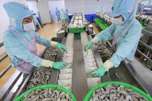 Hiệp định Thương mại tự do Việt Nam - EU: Lưu ý cơ chế CBAM