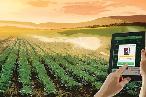 Học làm nông dân 4.0
