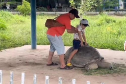 Nhóm khách ngồi lên rùa ở sở thú Long An