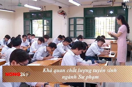 NÓNG 247| Ngành Sư phạm có sức hút với thí sinh