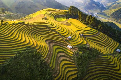Mù Cang Chải - Vẻ đẹp thuần khiết của thiên nhiên