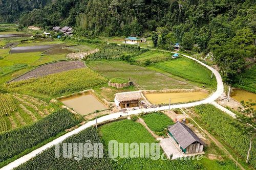 Giấc mơ Bản Bung
