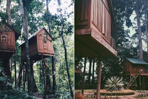 Trải nghiệm nhà trên cây độc đáo giữa núi rừng Tây Nguyên