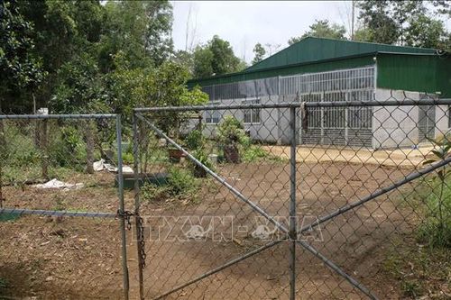 Hoàn thành tháo dỡ gần 97% nhà kính, nhà lưới trên đất rừng Đà Lạt