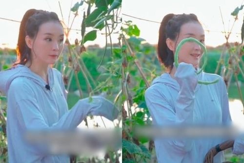 Vương Diễm làm video cuộc sống thôn quê như Lý Tử Thất