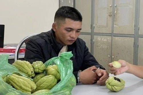 Con trai trùm ma túy Lóng Luông bị bắt và bí mật bên trong quả su su